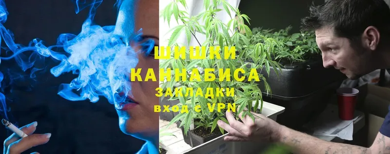 Бошки марихуана OG Kush  Малоярославец 